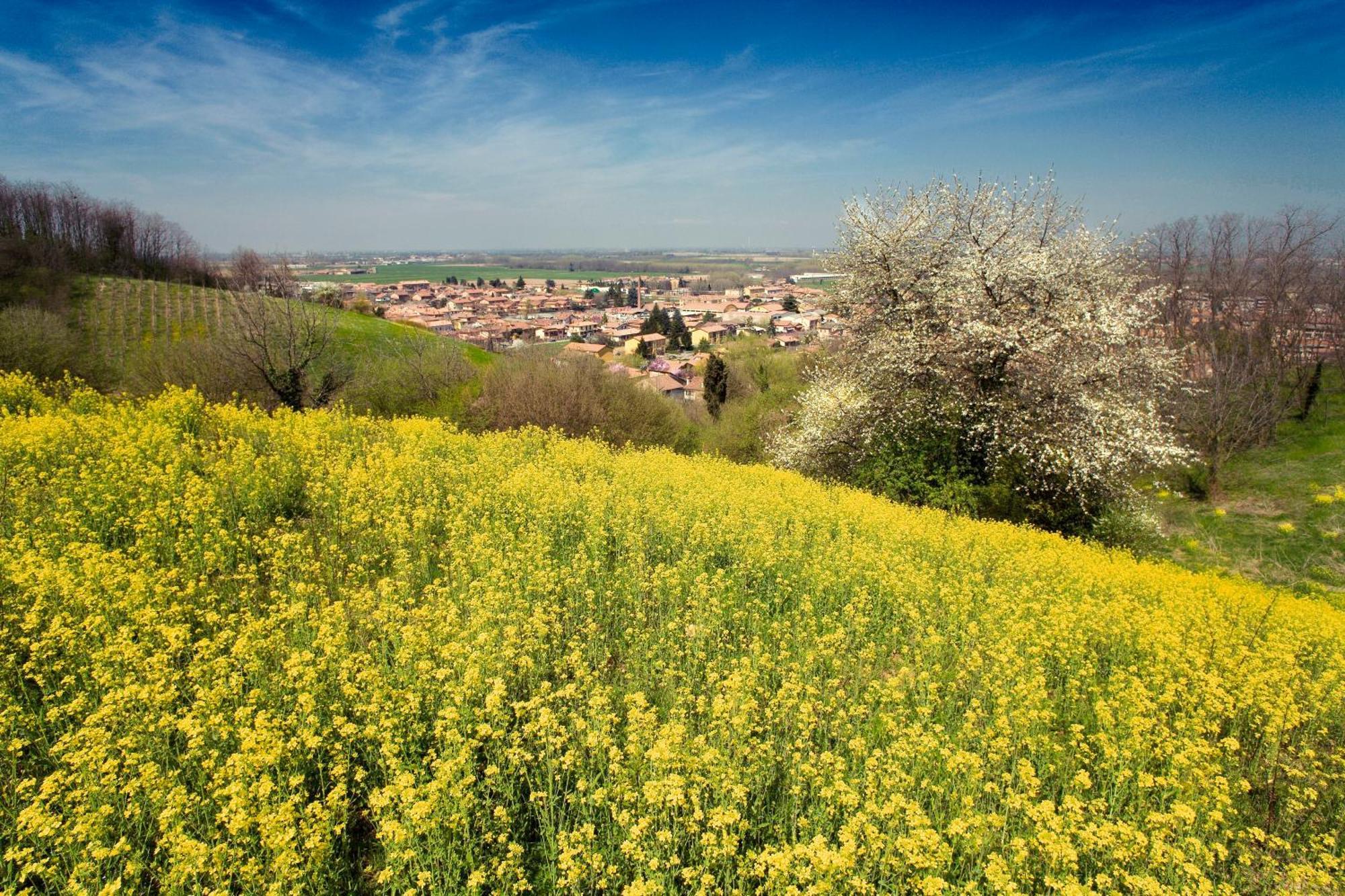 Bed & Breakfast Sforza 19 San Colombano al Lambro Exteriör bild